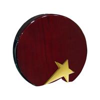 SWM 9503 - Bright Star