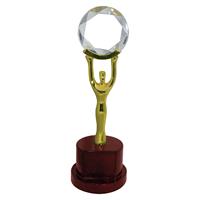 SWM 9558 - Fortune Award