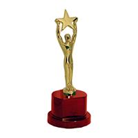 SWM 9619 - Grand Achiever