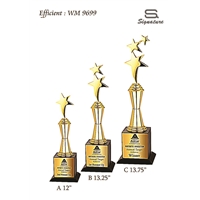 WM 9699 - Efficient Trophy